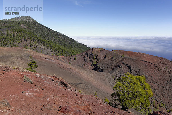Krater vom Vulkan San Martin  Cumbre Vieja bei Fuencaliente  La Palma  Kanarische Inseln  Spanien