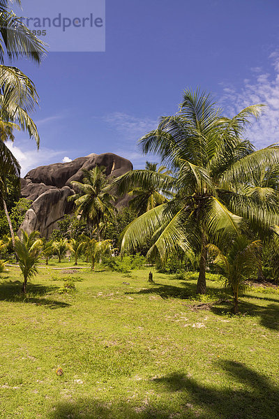 Landschaft mit für die Seychellen typischen Felsformationen  Anse Union  La Digue  Seychellen