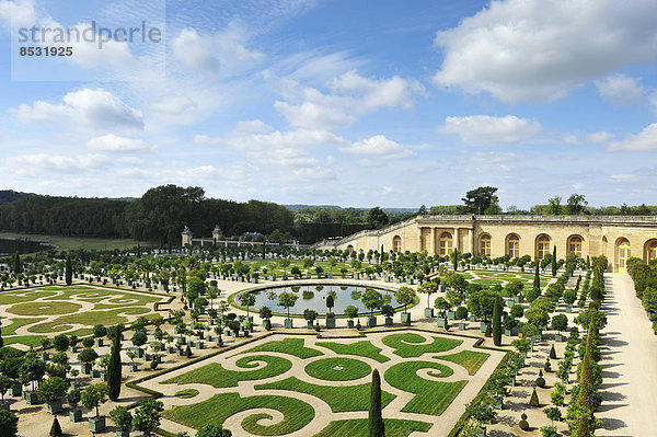 Garten und Park  Orangerie  Schloss Versailles  Île-de-France  Frankreich