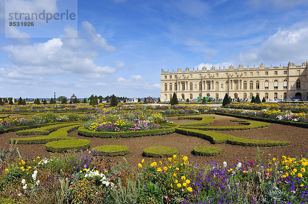 Garten und Park  Parterre du Midi  Schloss Versailles  Île-de-France  Frankreich