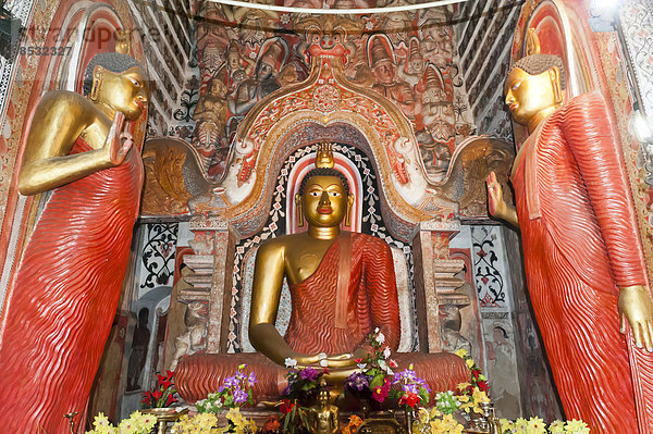 Große goldene bunt bemalte Buddha-Figur  Haltung der Meditation  Dhyana Mudra  Lankatilaka Vihara Tempel  bei Kandy  Zentralprovinz  Sri Lanka