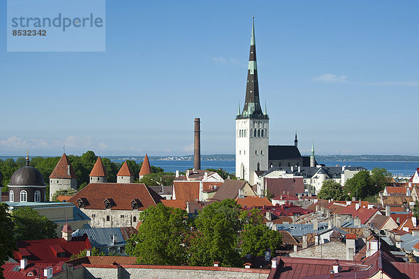 Tallinn Hauptstadt über Hügel Stadt Kathedrale Ansicht Estland