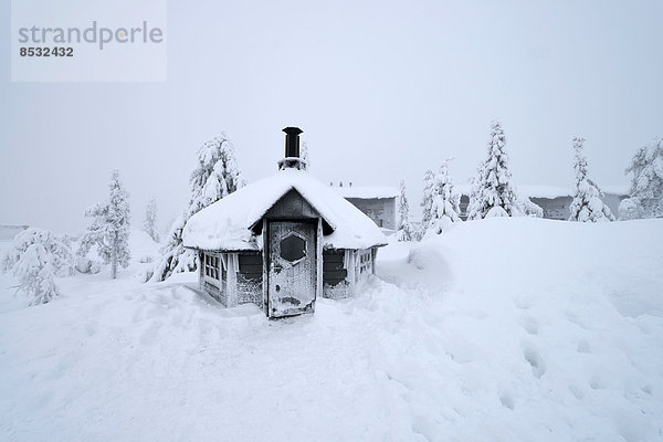 Finnische Kota in verschneiter Landschaft  Iso Syöte  Lappland  Finnland