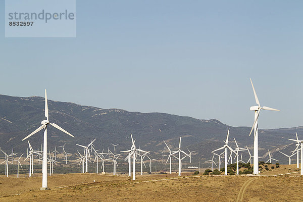 nahe Windmühle Windpark Spanien Tarifa