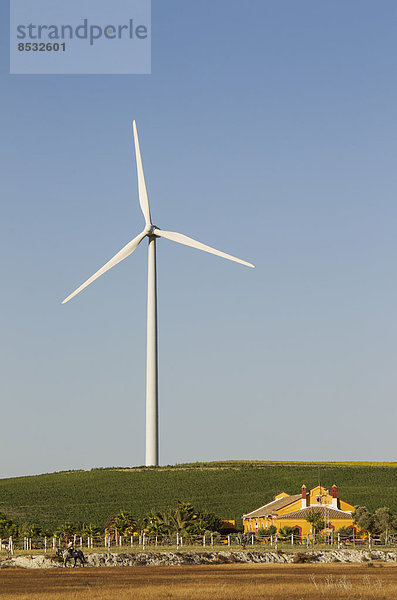 Andalusischer Landsitz vor einer Windkraftanlage  bei Sanlúcar de Barrameda  Provinz Cadiz  Andalusien  Spanien