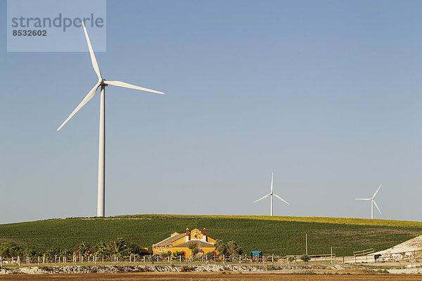 Andalusischer Landsitz vor einer Windkraftanlage  bei Sanlúcar de Barrameda  Provinz Cadiz  Andalusien  Spanien