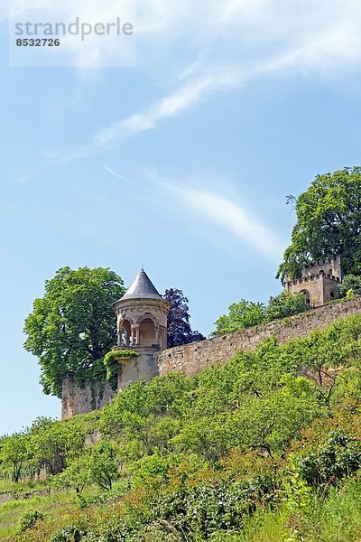 Haardter Schloss  Neustadt an der Weinstraße  Rheinland-Pfalz  Deutschland  Europa