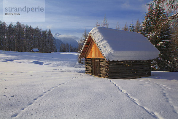 Schnee mit Tierspuren am Mieminger Plateau  Tirol  Österreich