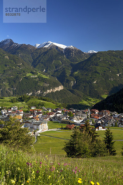 Serfaus mit Blumenwiese  Tirol  Österreich