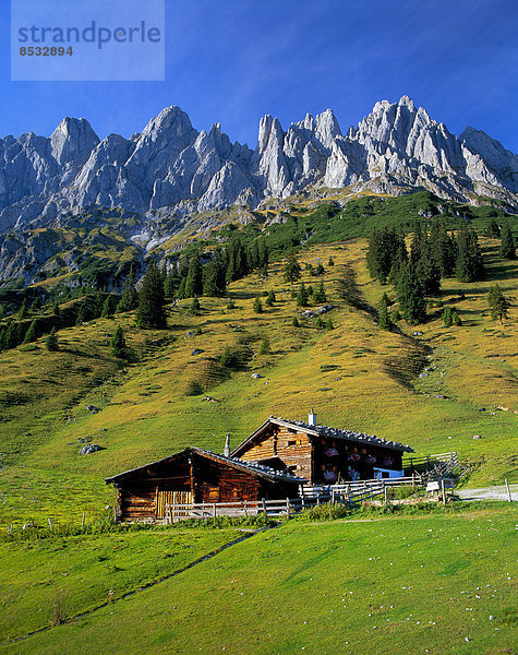 Mitterfeldalm und Mandlwand  Salzburger Land  Österreich