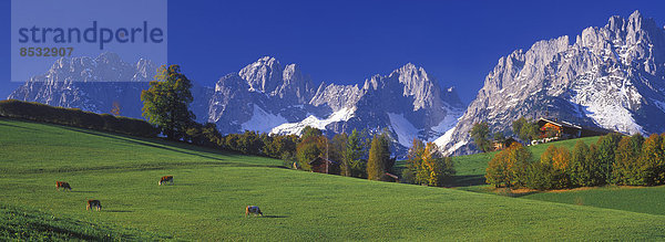 Kitzbühel  Tirol  Österreich