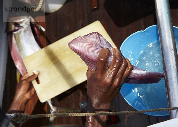 Frisch gefangener Gelbflossenthunfisch für Sushi