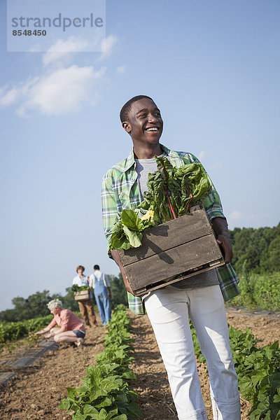 Ein Junge hält eine große Holzkiste mit frischem Gemüse  das auf den Feldern geerntet wurde.