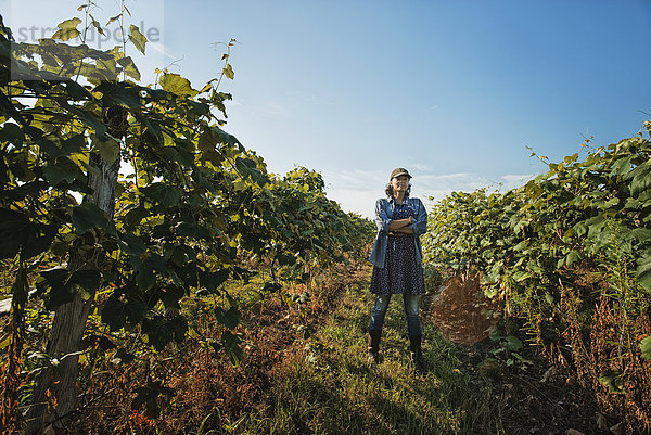 Eine Frau kümmert sich in einem Weinberg um die wachsenden Weinreben  beschneidet und bindet die Triebe ein.
