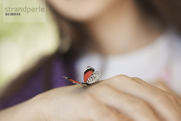 Ein Kind untersucht einen Schmetterling  der auf ihrer Hand gelandet ist.