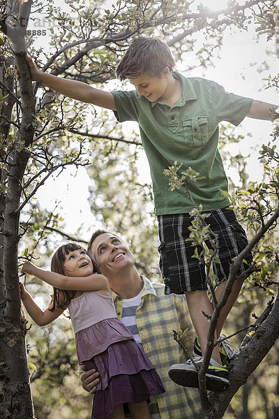 Ein Erwachsener mit zwei Kindern  die auf Bäume klettern.