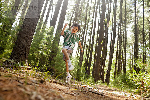 Ein kleiner Junge spielt im Kiefernwald  umgeben von hohen geraden Baumstämmen.