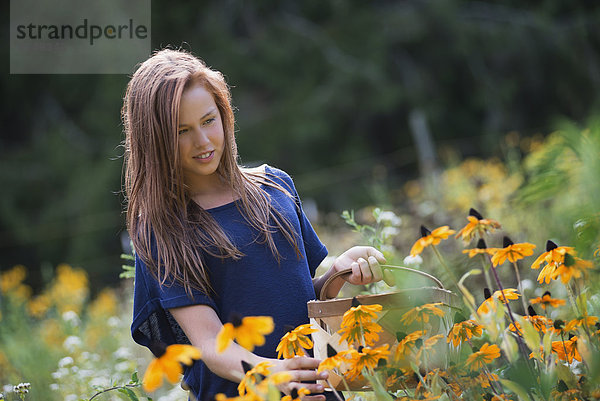 Ein junges Mädchen auf einem Feld  umgeben von Blumen.