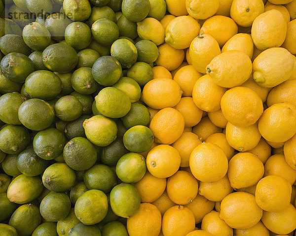 Zitronen und Limetten  Zitrusfrüchte  in zwei Haufen geteilt  farblich kontrastierend.