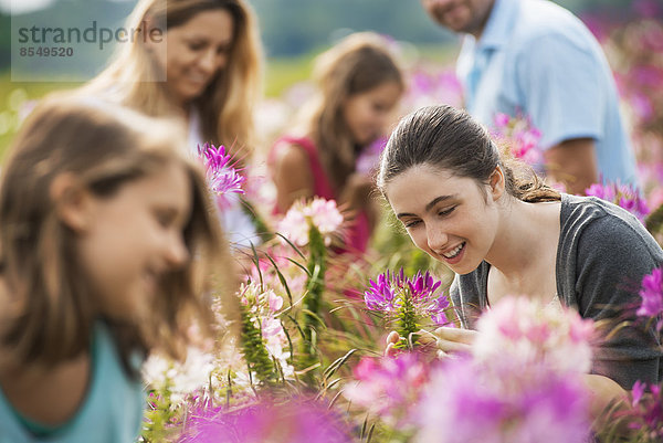 Fünf Personen unter den Blumen auf einer Bio-Blumenfarm.