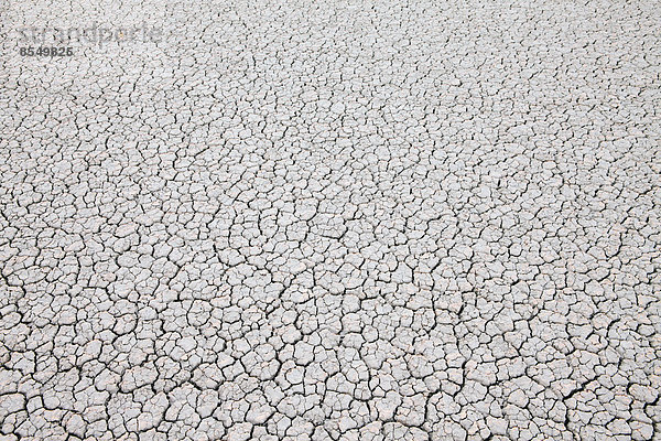 Trockene rissige Wüstenoberfläche  Schwarze Steinwüste in Nevada  USA