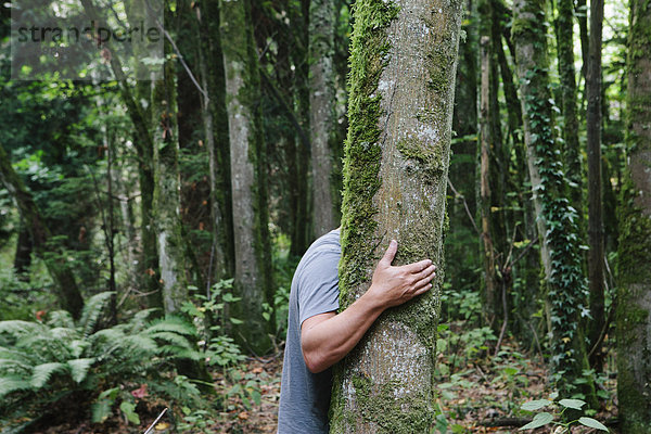 Mann umarmt Baum in üppigem  grünem Wald