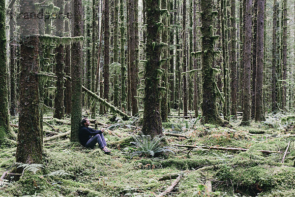 Mann sitzt zwischen moosbewachsenen Hemlock- und Fichtenbäumen im üppigen Regenwald der gemäßigten Zonen des Hoh-Regenwaldes in Washington USA