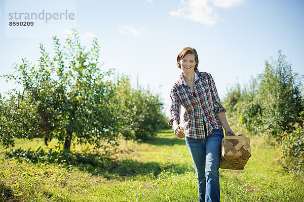 Eine Frau in einem karierten Hemd  die im Obstgarten eines Bio-Obstbaubetriebs Äpfel pflückt und einen Weidenkorb trägt.