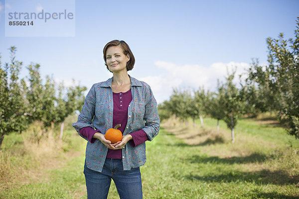 Eine Frau in einem karierten Hemd  die einen orangefarbenen Kürbis oder Kürbis in ihren schalenförmigen Händen hält  auf einer Bio-Obstfarm.
