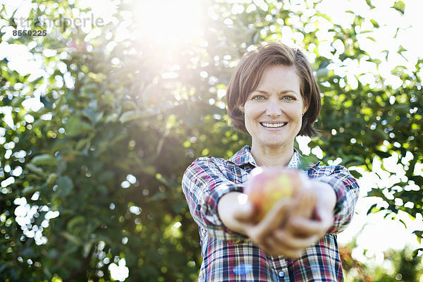 Eine Frau in einem karierten Hemd  die einen frisch gepflückten Apfel in den Händen hält  im Obstgarten eines Bio-Obstbaubetriebs.