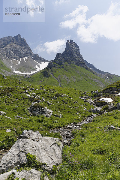 Rote Wand und Rothorn  Obere Laguz Alpe  Biosphärenpark Großes Walsertal  Vorarlberg  Österreich