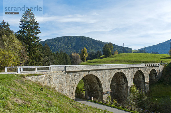 Schaubrücke  historische Rasner Brücke  Niederrasen  Rasen-Atholz  Rasun di Sotto  Anterselva  Pustertal  Südtirol  Südtirol-Trentino  Italien