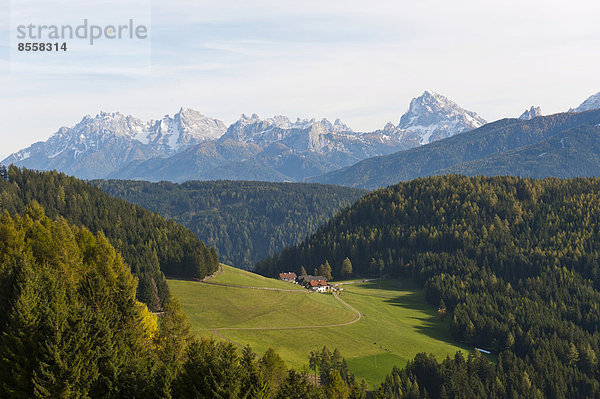 Kleine Alm in waldreicher Landschaft  Ausblick in die Pragser Dolomiten  Niederrasen  Rasen-Atholz  Rasun Anterselva  Südtirol  Südtirol-Trentino  Italien