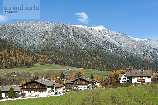 Berg bedecken über Wald Dorf Herbst Ansicht Trentino Südtirol Italien Schnee Trentino-Südtirol