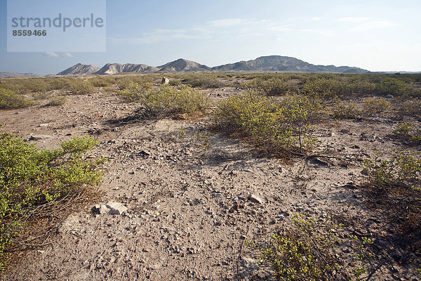Wüstenlandschaft  Dhofar  Oman