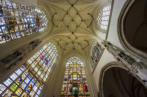 Kirchenfenster und gotisches Gewölbe  Kathedrale St Michael  Brüssel  Belgien