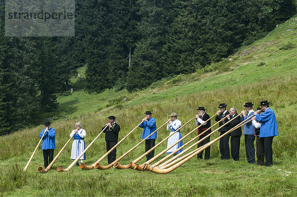 Alphornbläsergruppe auf einer Wiese im Justistal  Beatenberg  Berner Oberland  Schweiz