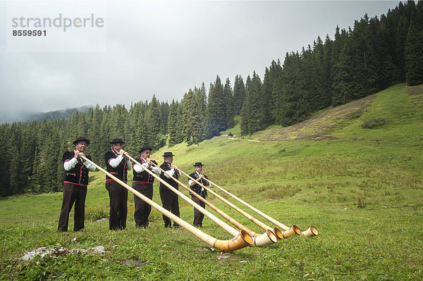 Alphornbläsergruppe auf einer Wiese im Justistal  Beatenberg  Berner Oberland  Schweiz