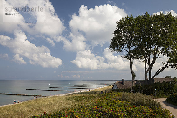 Küste Ansicht Mecklenburg-Vorpommern Deutschland