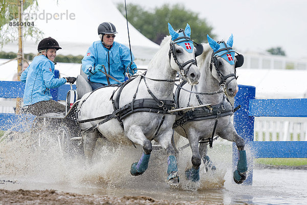 Pferdekutsche am Wassergraben  Pferdekutschenrennen  Internationales Pony-Fahrturnier  Minden  Nordrhein-Westfalen  Deutschland