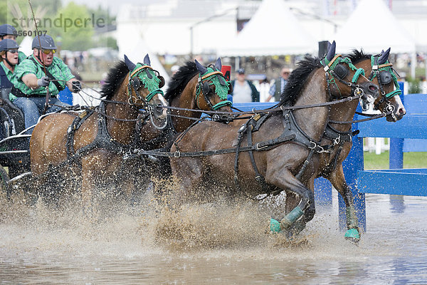 Pferdekutsche am Wassergraben  Pferdekutschenrennen  Internationales Pony-Fahrturnier  Minden  Nordrhein-Westfalen  Deutschland