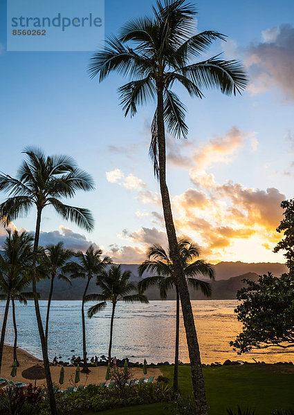 Sonnenuntergang in der Hanalei Bay  Kauai  Hawaii  USA