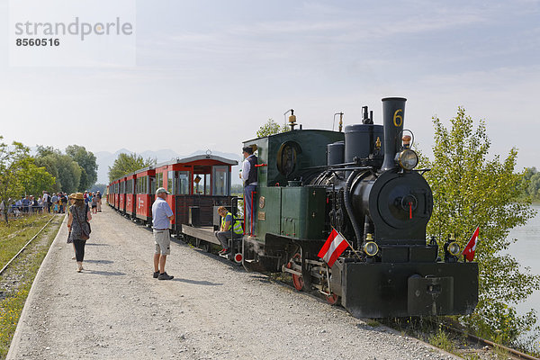 Museumsbahn Rheinbähnle an der Rheinmündung  Naturschutzgebiet Rheindelta am Bodensee  Hard  Vorarlberg  Österreich