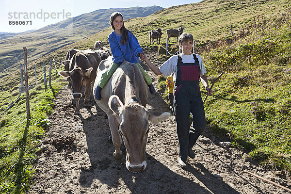 Mädchen  8 Jahre  reitet auf einer Kuh  während sie mit ihrer Mutter die Kühe von der Alp in den Stall bringt  Alp Gün  Safiental  Graubünden  Schweiz