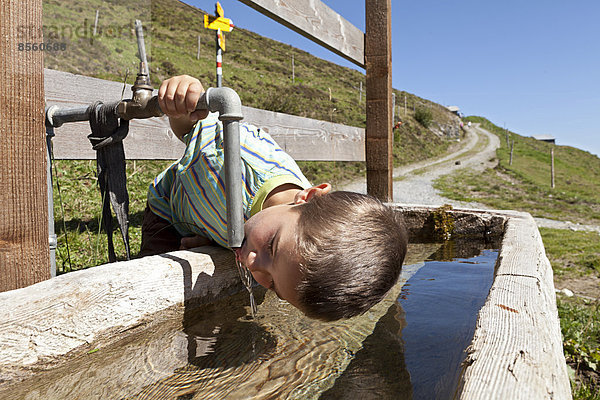 Junge  6 Jahre  trinkt frisches Quellwasser aus dem Brunnen  Alp Gün  Safiental  Graubünden  Schweiz