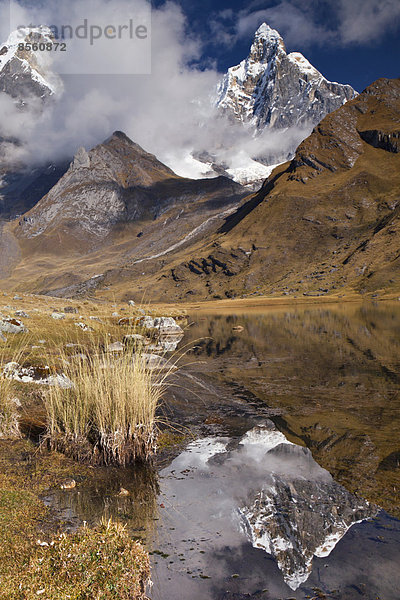 Spiegelung des Nevado Jirishanca in der Laguna Carhuacocha  Cordillera Huayhuash  Peru