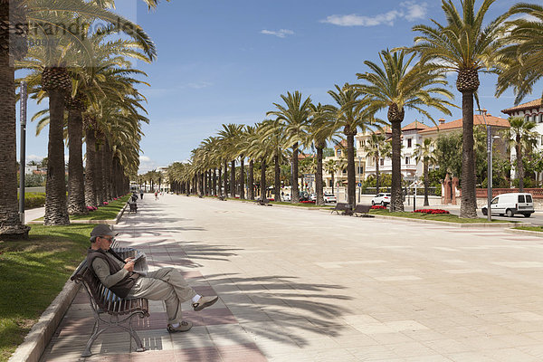 Palmen-Promenade  Salou  Katalonien  Spanien