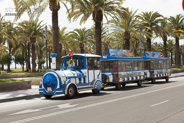 Touristen-Zug fährt vor Palmen auf einer Straße  Salou  Katalonien  Spanien