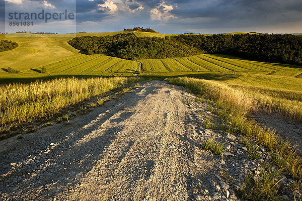 Weg führt durch die Felder und Hügel der Crete Senesi  Toskana  Italien