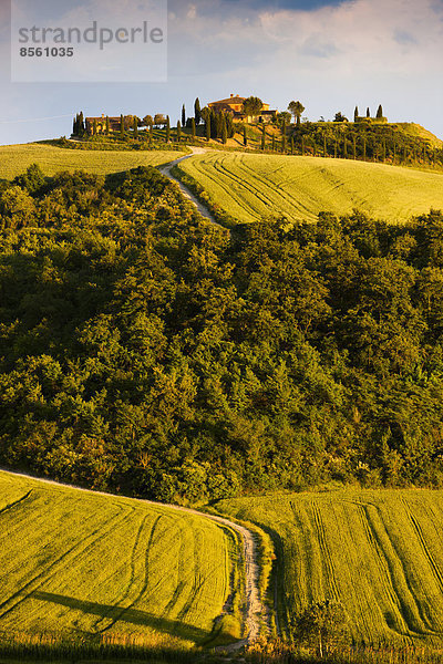 Hügel Bauernhof Hof Höfe Kreta Italien Toskana